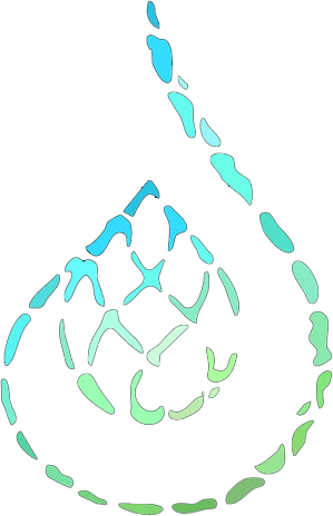 logojirrigue