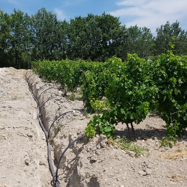 solution-irrigation-professionelle-nimes